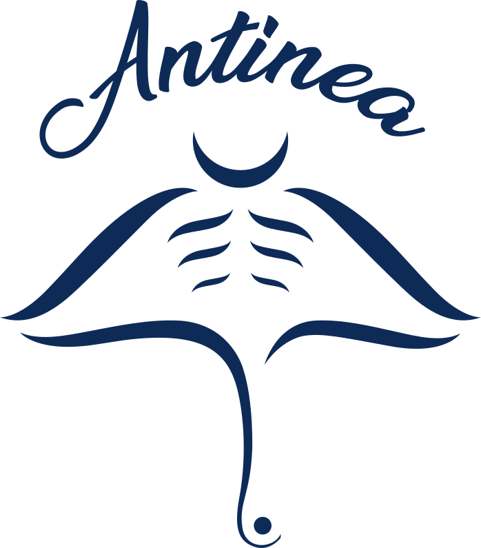 Antinea Logo